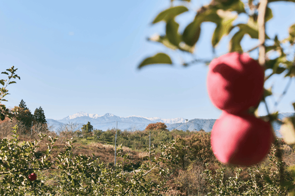 Lanskap Wagodaira di Kota Asahi, Yamagata