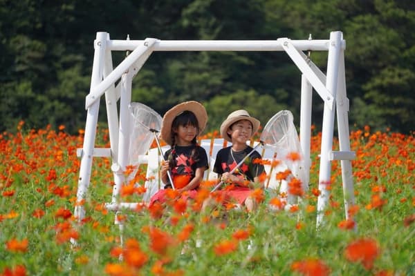 Festival Kokiriko