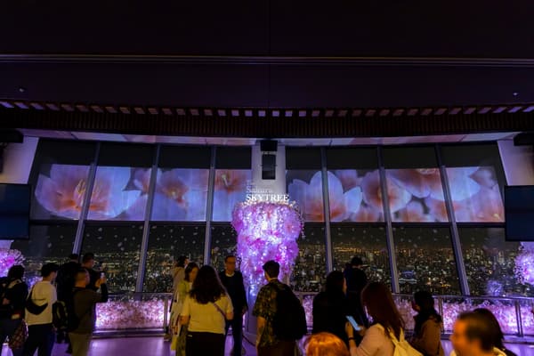 晴空塔圆形剧场图像1