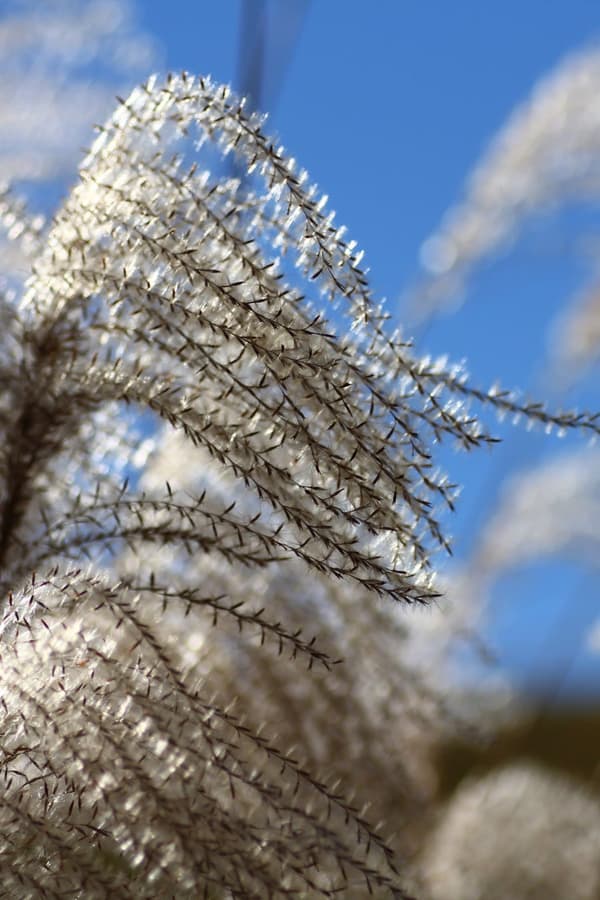 Photo trekking scenery (image)
