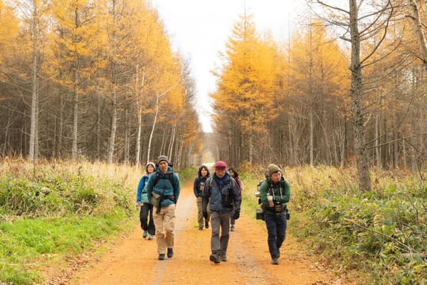 Hiking in a group is one way to guard against brown bear encounters