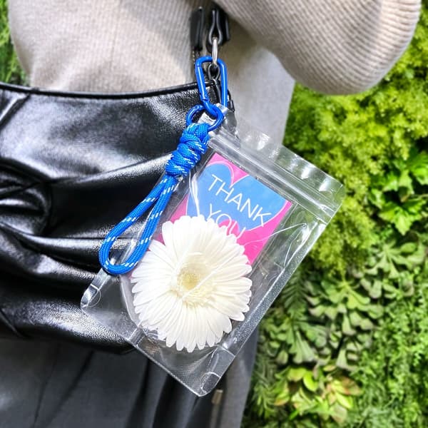 포케하나 색상 다양성