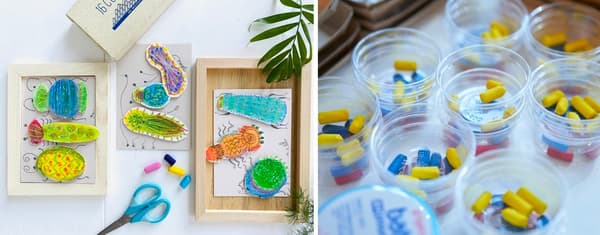 Insect Collecting Drawing oil pastel art program
