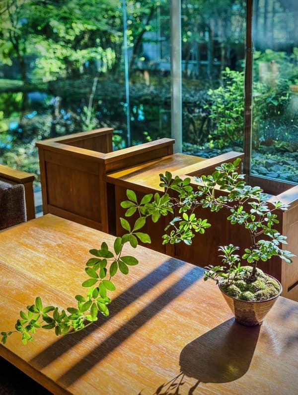 Koniwa bonsai workshop