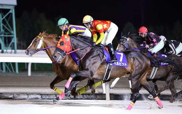 Hokkaido Experience Package