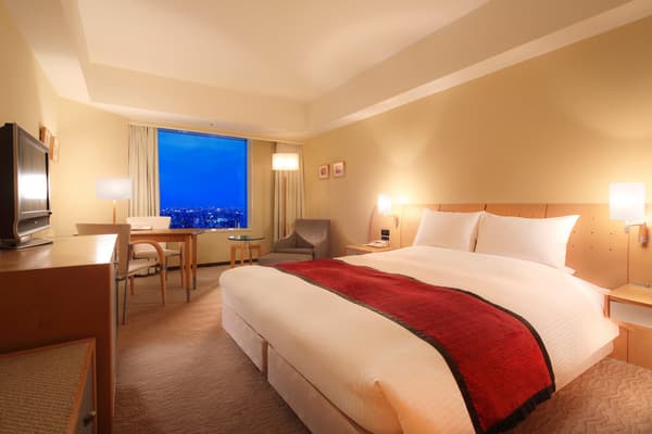 Room example: Deluxe Double Room