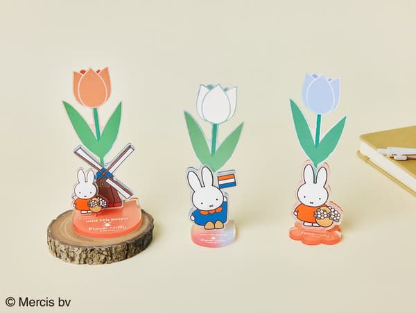 豪斯登堡 × Flower Miffy 亚克力花架（3款）