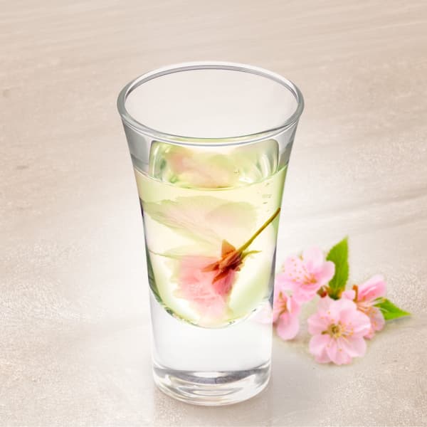 SAKURA煎茶茶藝示範