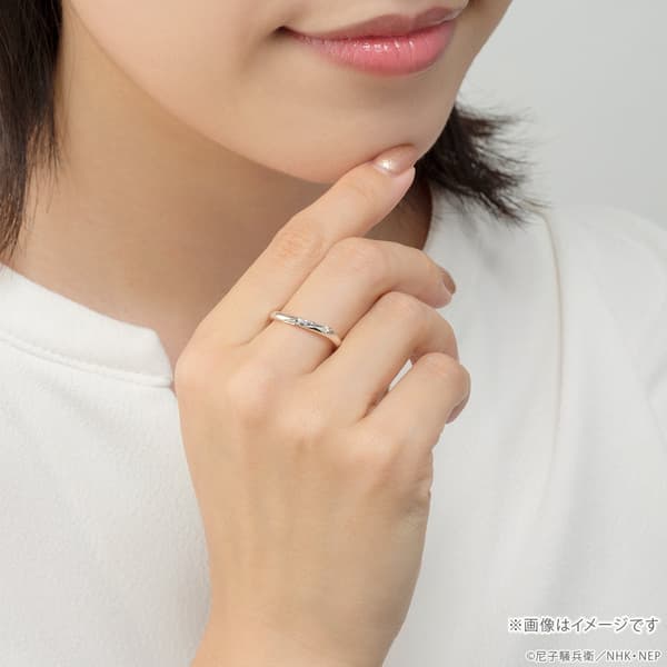 Platinum 950 — wearing image