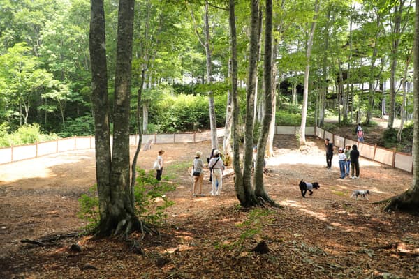 白馬岩岳寵物友善區域