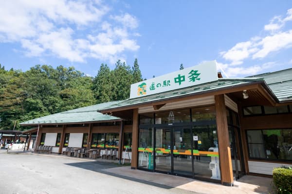 道之驿中条外观