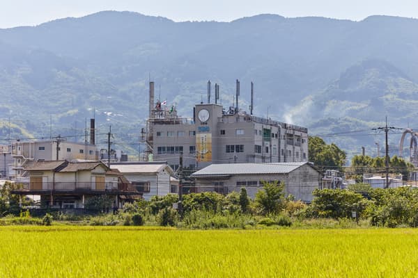 come×come sweets at the booth