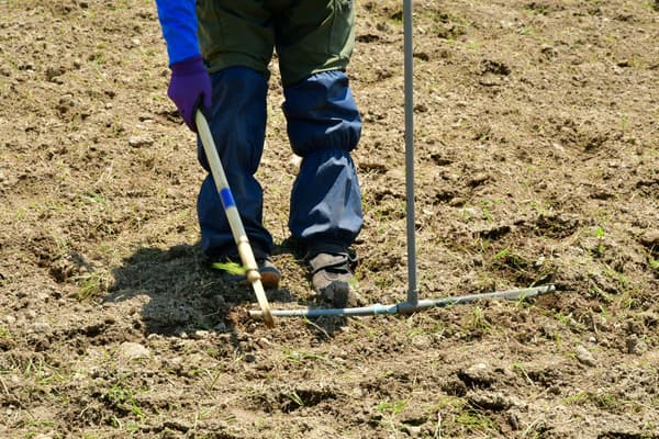 Marking planting intervals across the hill
