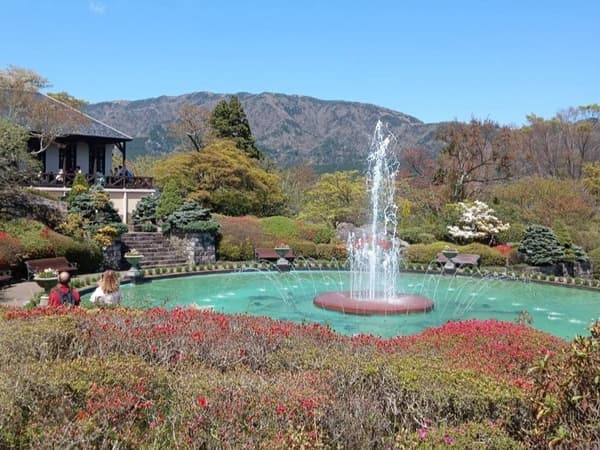 喷水池附近的杜鹃花（摄于4月16日）
