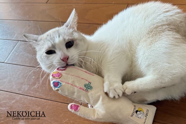 安全和质量特性