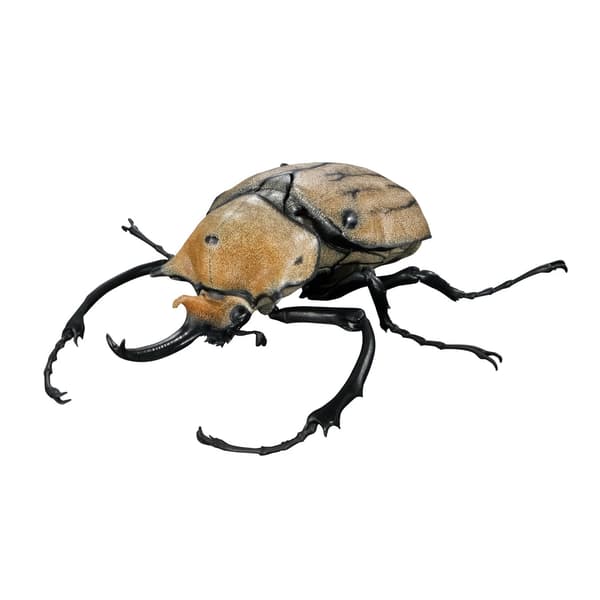 Ikimono Daizukan Advance: Rhinoceros Beetle 04
