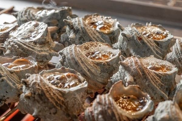 整條鯛魚生魚片