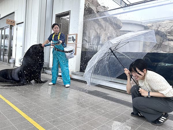 Sea lion spraying water at a keeper and a guest holding an umbrella