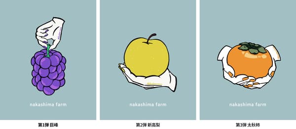 수확을 앞둔 거봉
