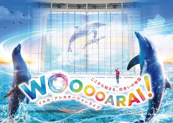 海豚與海獅海洋現場表演