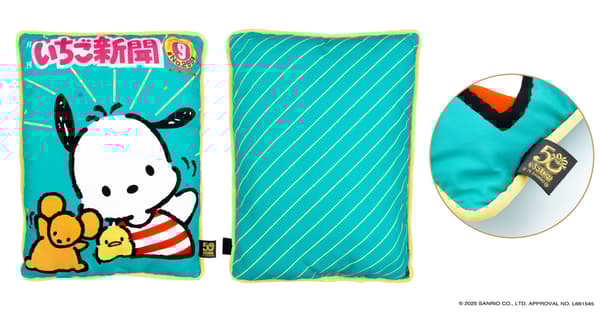 Pochacco cushion design