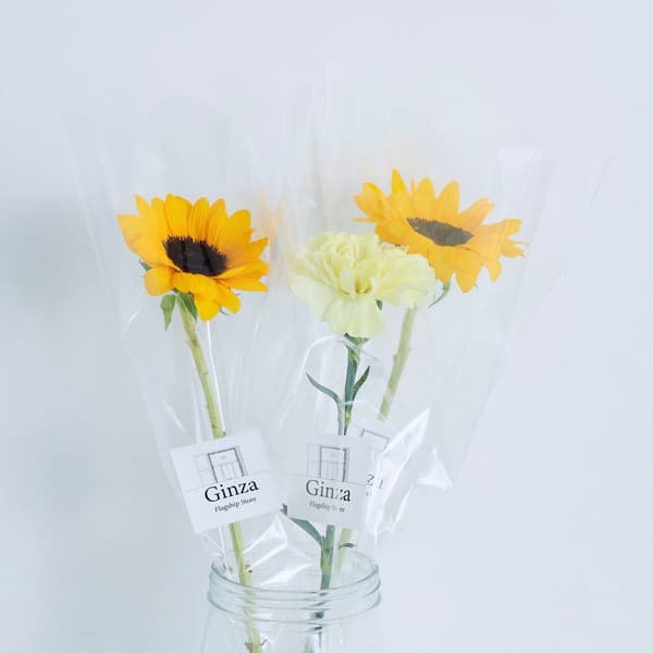 4℃银座总店 x 日比谷花坛 -Jewelry meets Flower- 活动视觉图