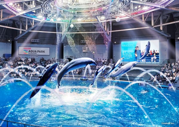 Versión diurna del espectáculo de delfines