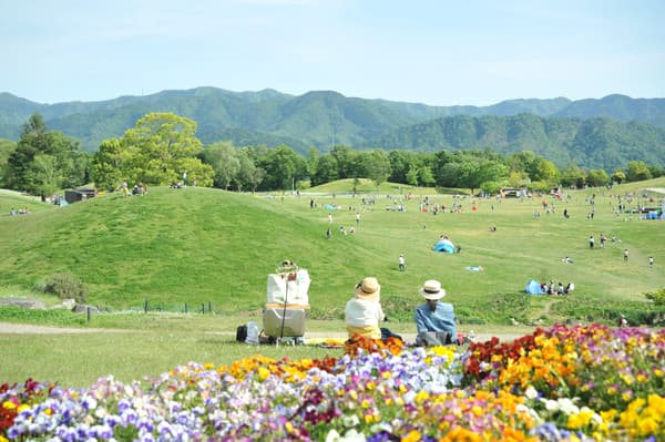 Plaza de césped en primavera