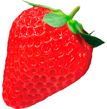 Berry Pop Suzu品種