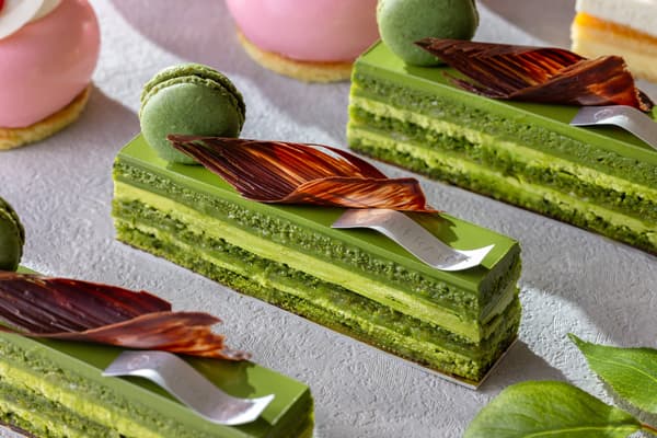 Matcha Opera