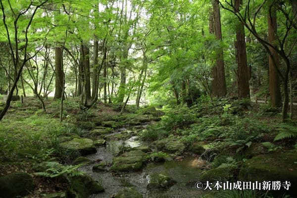 在成田山公園享受綠意