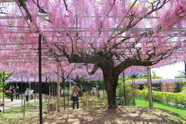 截至2025年4月24日