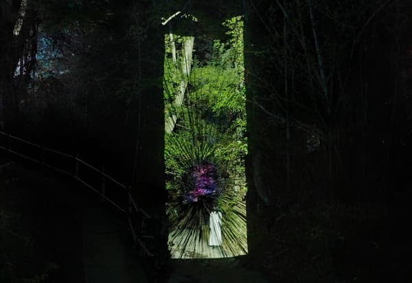 teamLab，被捕获的连续生命