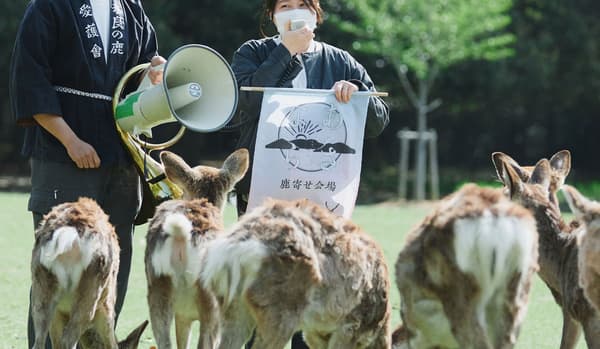 从飞火野到志贺-猿-狐大楼的导览晨间漫步