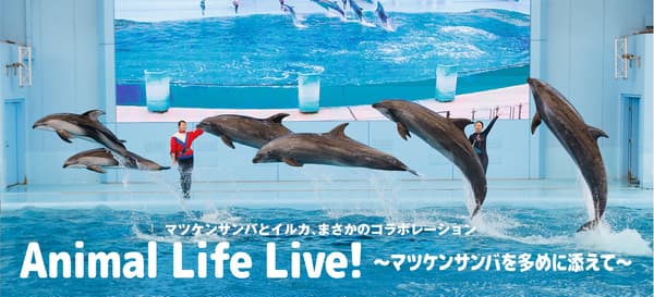Animal Life Live! collaboration performance