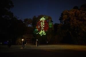 Projection Mapping on the Trees