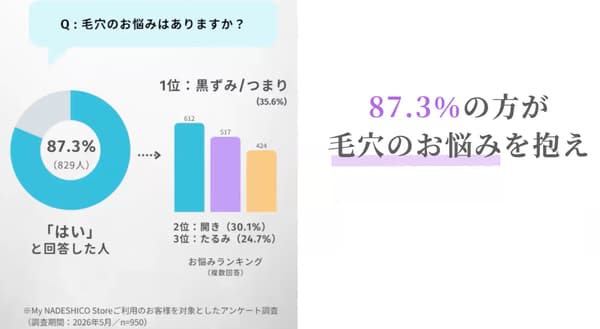 Survey results on pore concerns