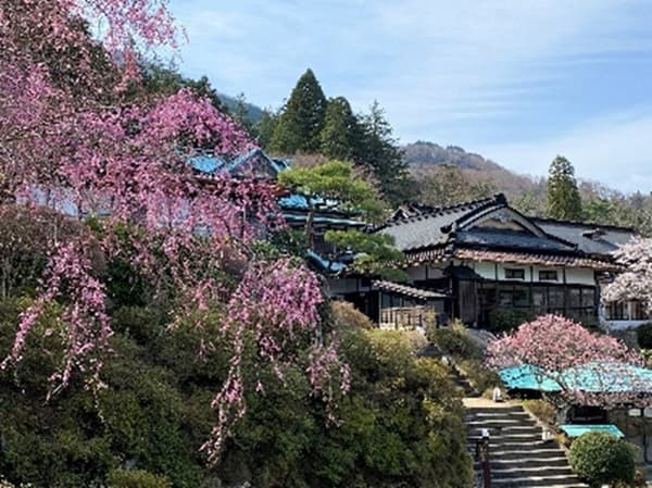 Hakone Kowakien Mikawaya Ryokan