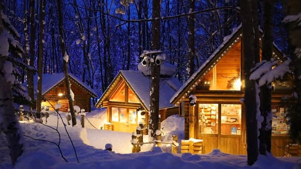 在Ningle Terrace体验在冬夜漫步，森林中灯光闪烁。