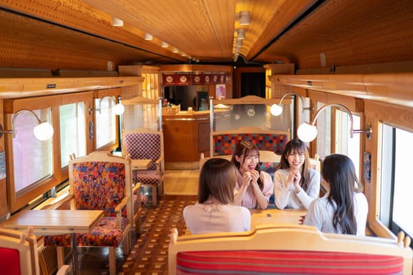 Fujisan View Express Sembikiya Premium Fruit Plan
