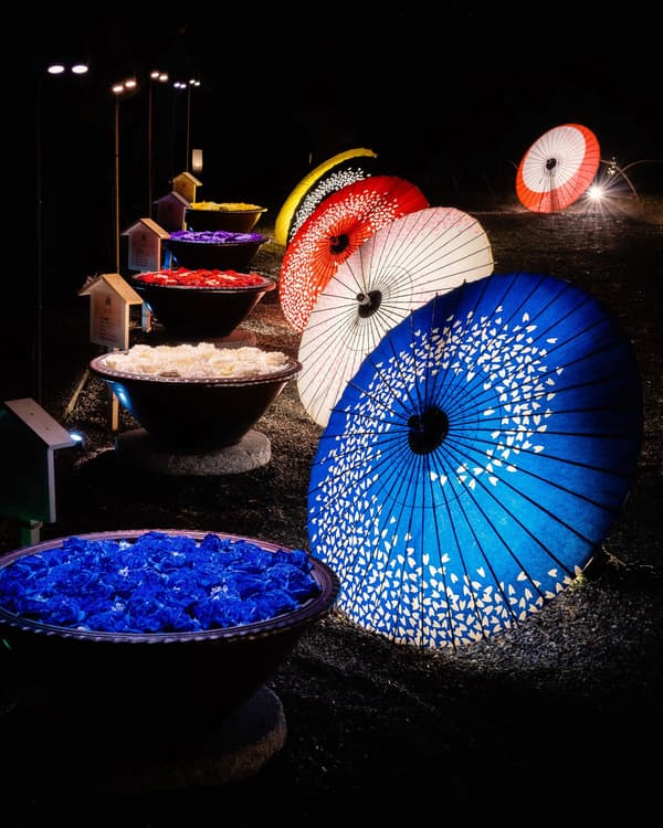 Japanese Umbrella and Flower Temizuya