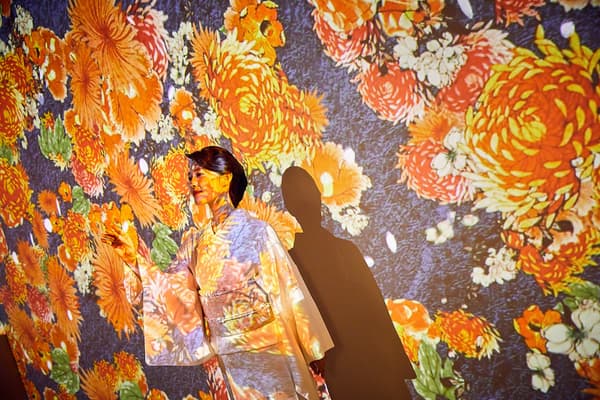 沉浸式浮世绘艺术展