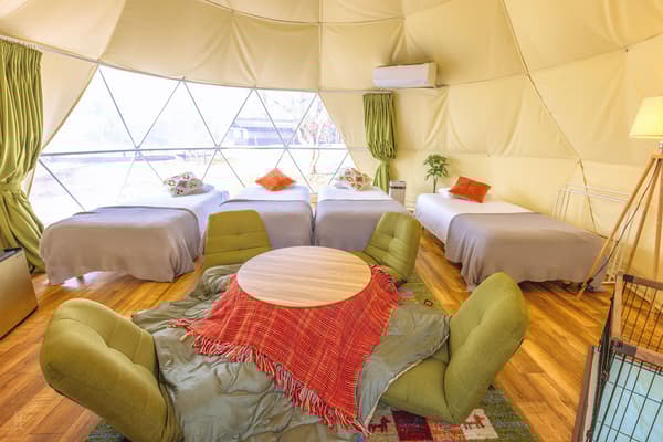 圆顶帐篷“新绿”