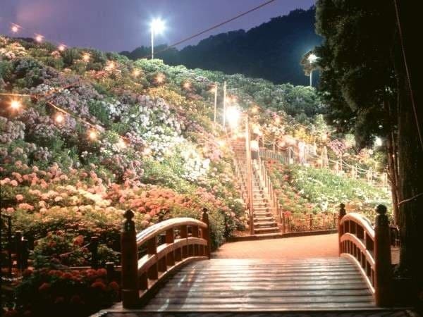 Ajisai no Sato illuminated at night
