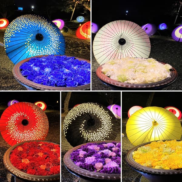 Five Virtues Display