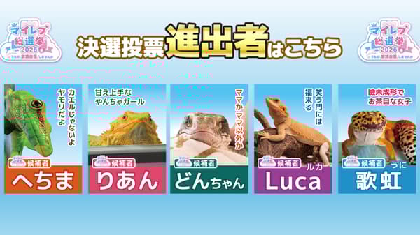 Instagram 点赞数前 5 名