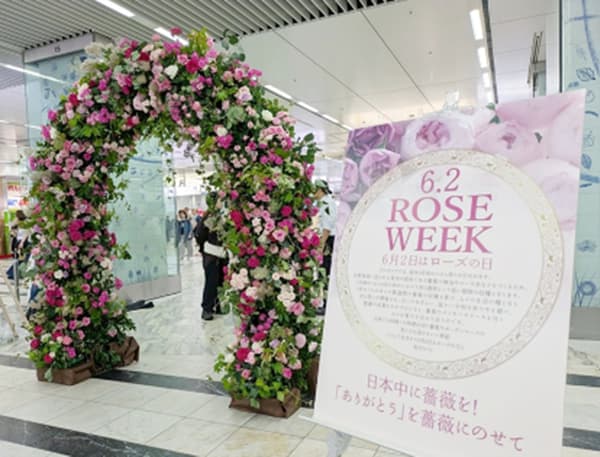 玫瑰裝置藝術
