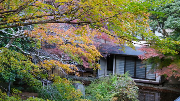 Guests can also enjoy the autumn scenery from the guest rooms and corridors