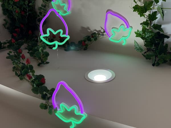 Exciting strawberry LED lights