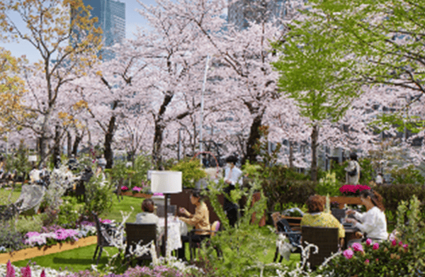 ROKU MIDTOWN BLOSSOM LOUNGE 图片